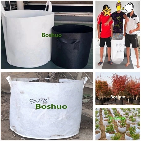 Jumbo grande 50 75 80 100 125 150 200 300 400 500 galões de plástico jardim enraizamento de árvores drenagem poda de ar planta berçário plantador de mudas pote fornecedor chinês